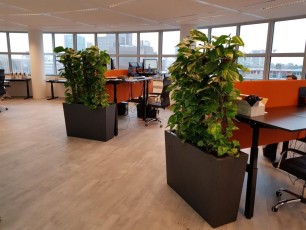 kantoor-beplanting-02