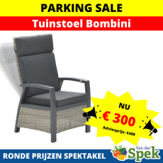 Parking-Sale-2023-44