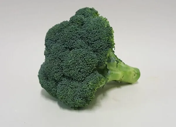 Broccoli