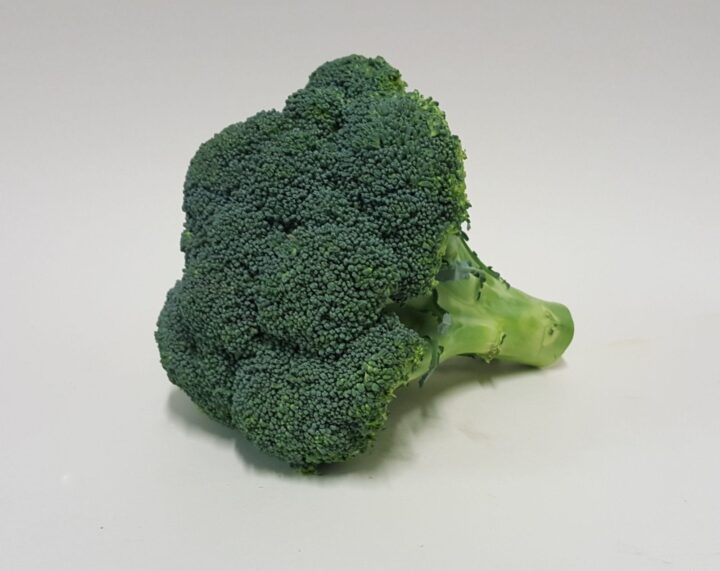 Broccoli 1 broccoli