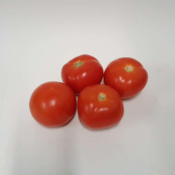 Tomaten 7 20160202 161632