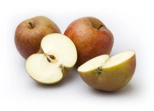 Goudreinet
