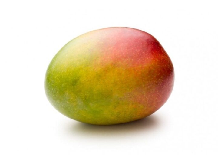 Mango 1 mango