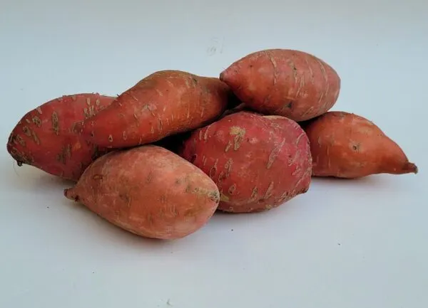Zoete aardappel