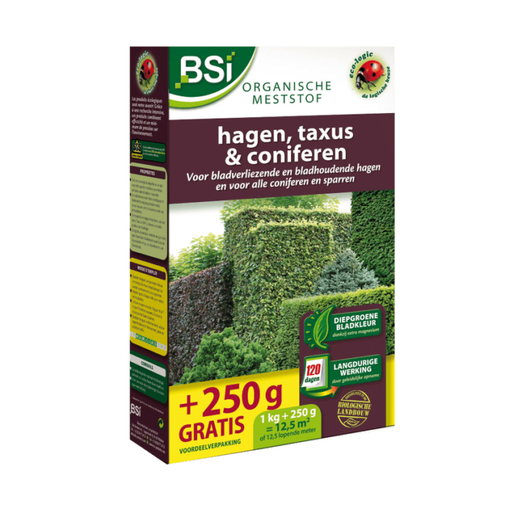 Hagen, Taxus & Coniferen thumbnail 31