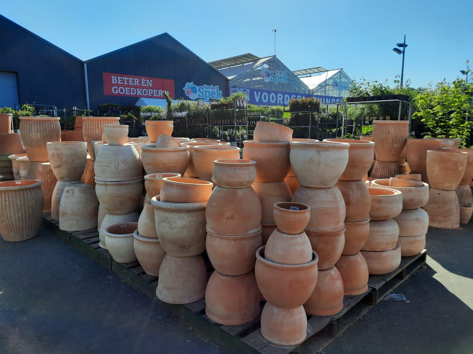 Terracotta grote pot WhatsApp Image 2021 06 09 at 10.23.36