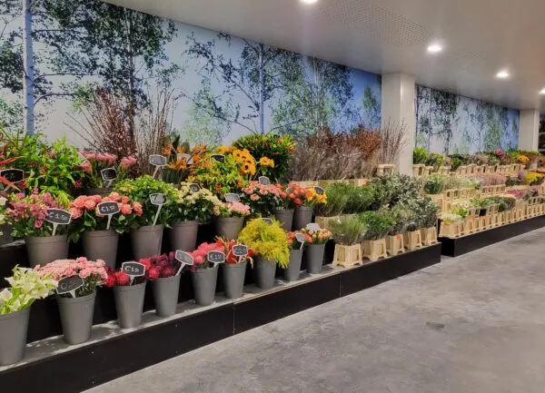 Snijbloemen