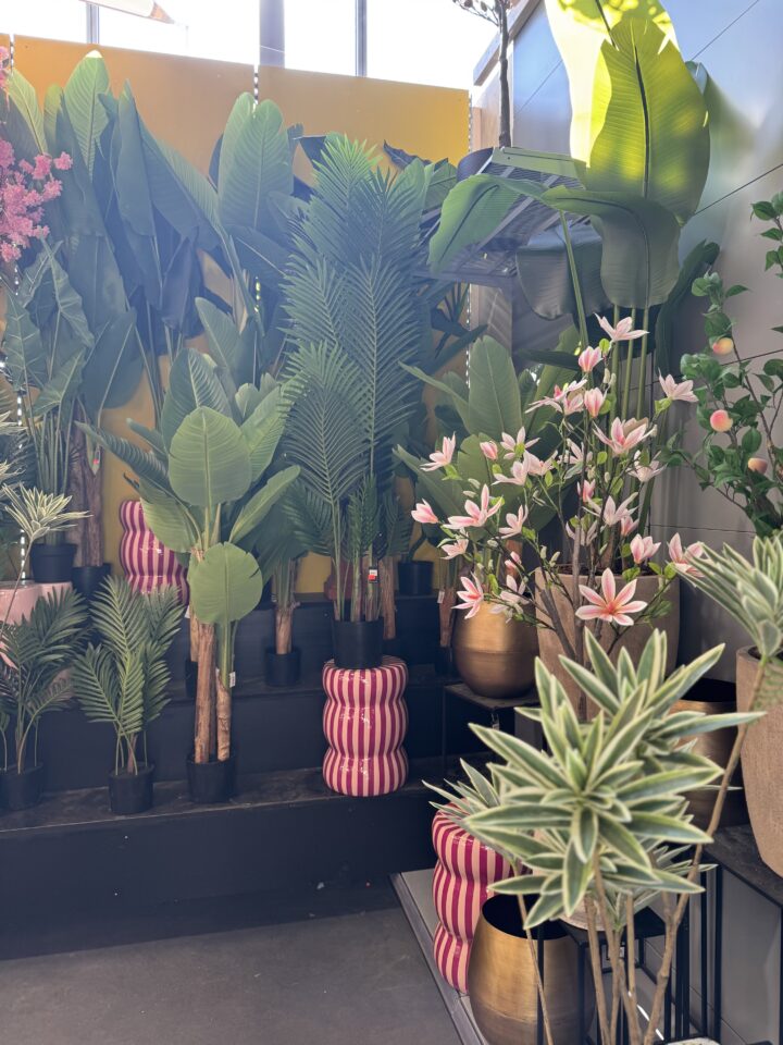 Zijden planten - Afbeelding 2