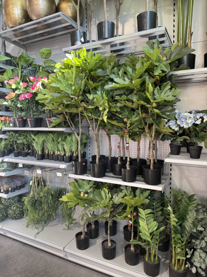 Zijden planten - Afbeelding 4