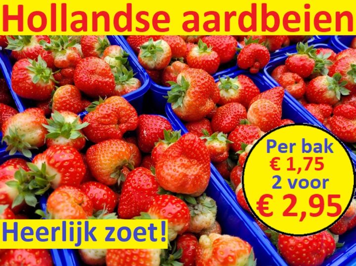 Hollandse aardbeien Screenshot 5 3