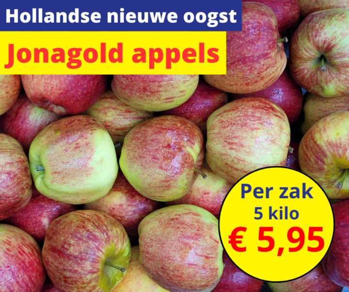 Hollandse nieuwe oogst Jonagold appels 12 2