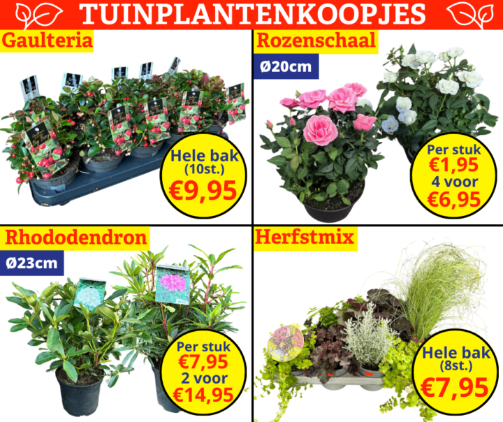 Tuinplantenkoopjes 17 2