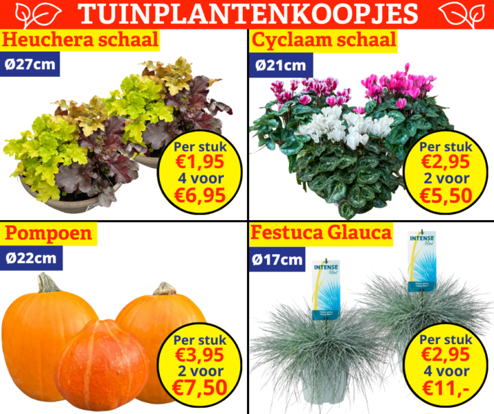 Tuinplantenkoopjes 20 2