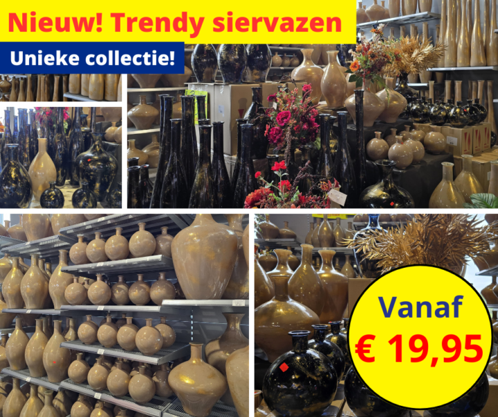 Nieuwe trendy siervaarzen 21 2