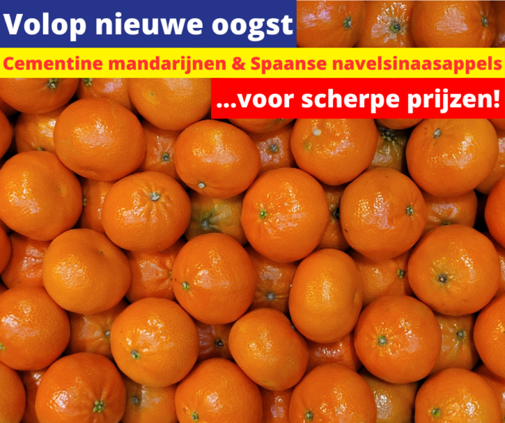 Volop nieuwe oogst Clementine mandarijnen & Spaanse navelsinaasappels voor scherpe prijzen! 11 3