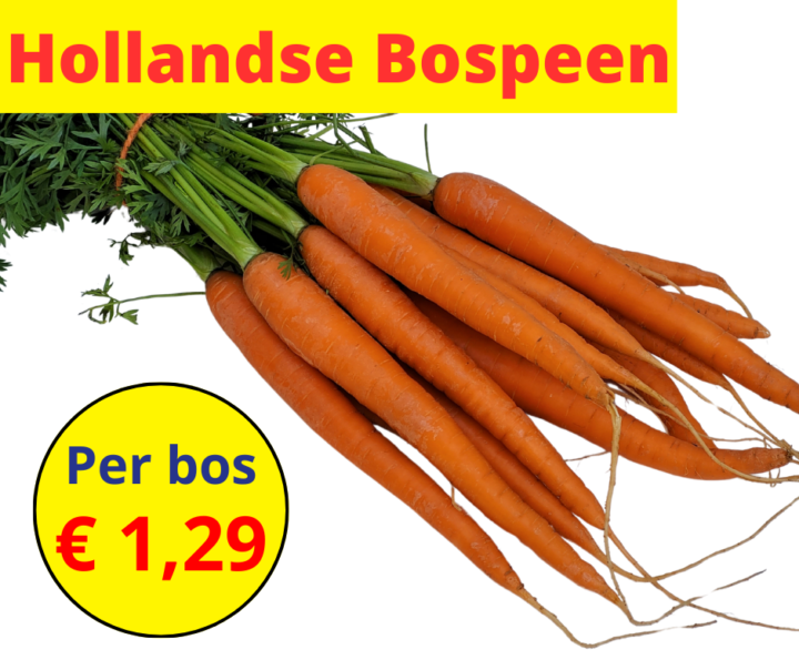 Hollandse bospeen 15 2