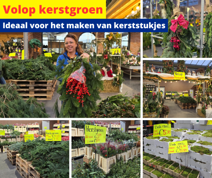 Volop Kerstgroen 20 2