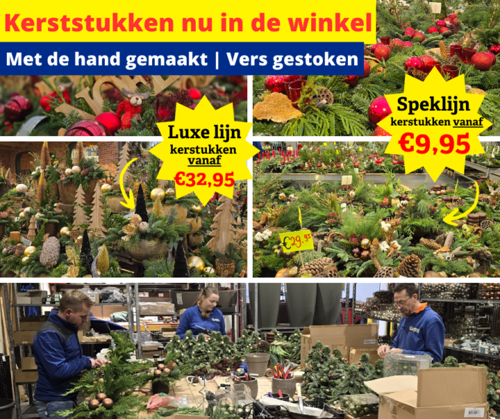 Kerststukken nu in de winkel! 25 2