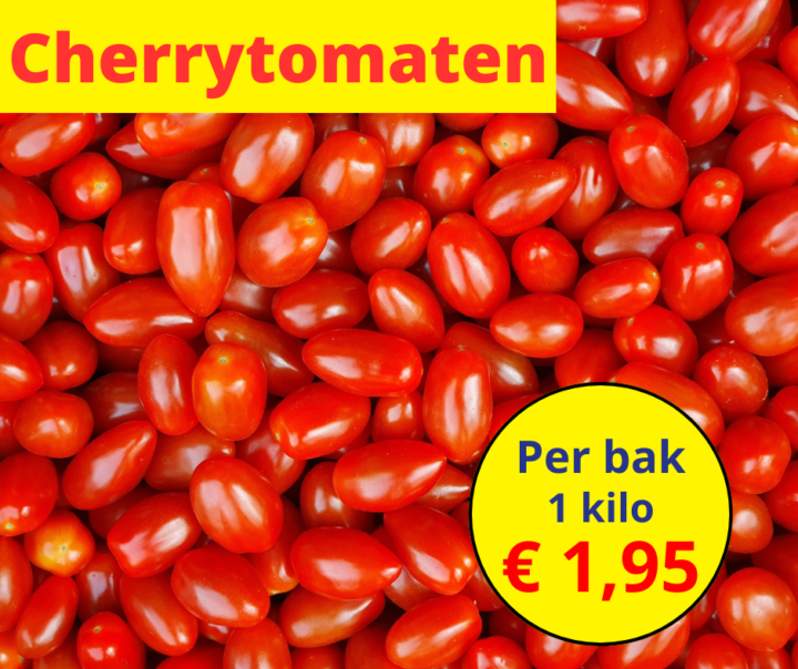 Cherrytomaten 17 2