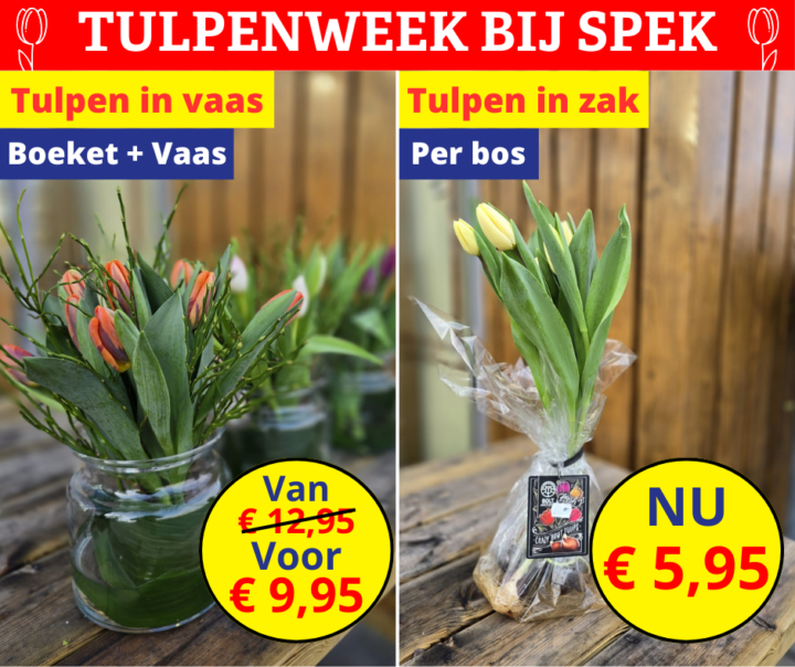 Tulpenweek bij Spek