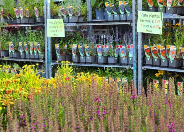 Planten