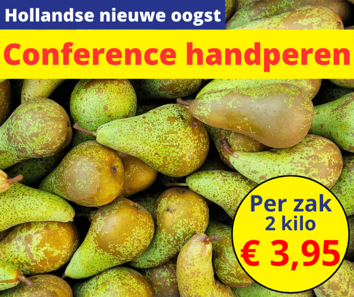 Hollandse nieuwe oogst Conference handperen