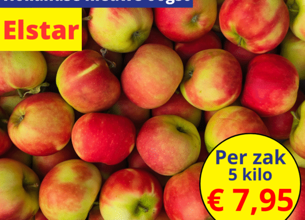 Hollandse nieuwe oogst Elstar