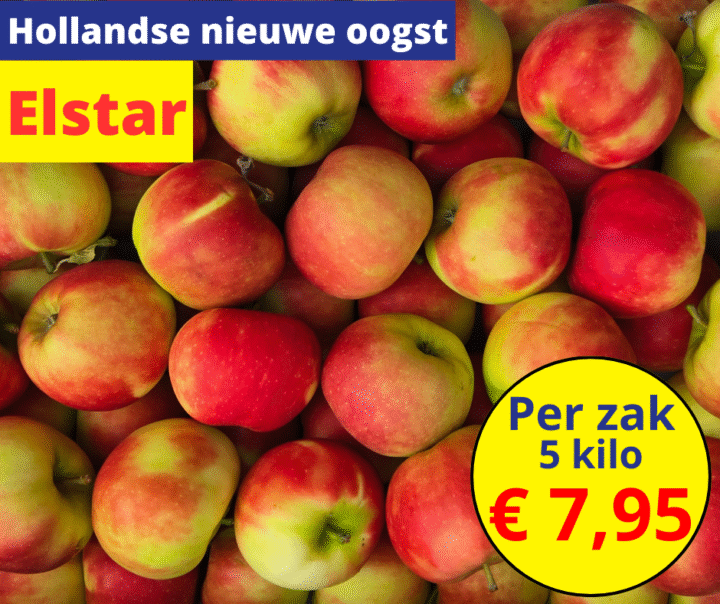 Hollandse nieuwe oogst Elstar