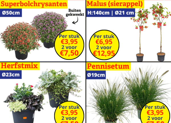 tuinplantenkoopjes