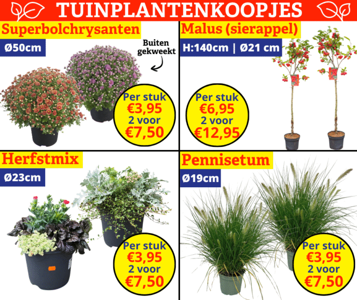 tuinplantenkoopjes