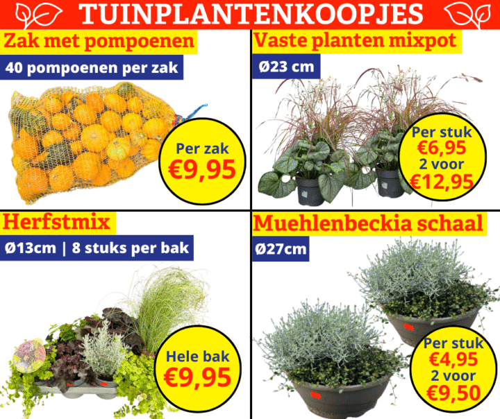 tuinplantenkoopjes