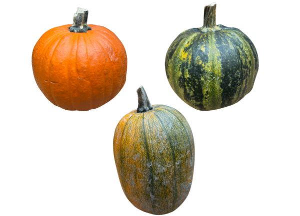 pompoenen