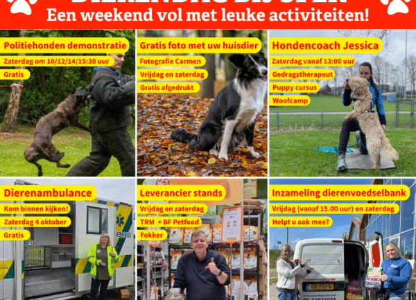 dierendag