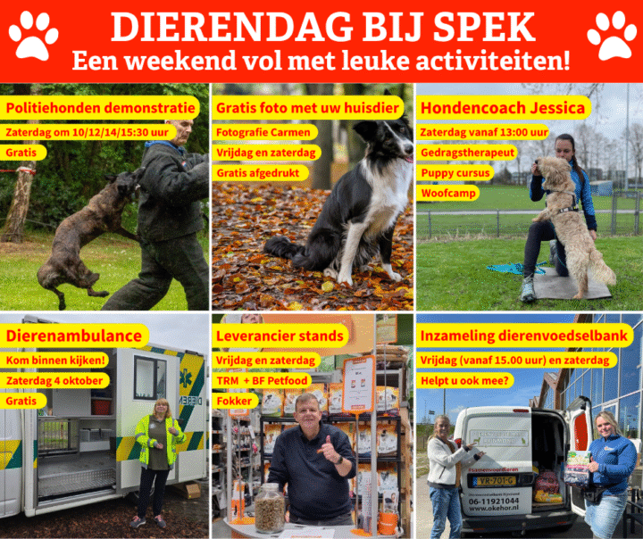 dierendag