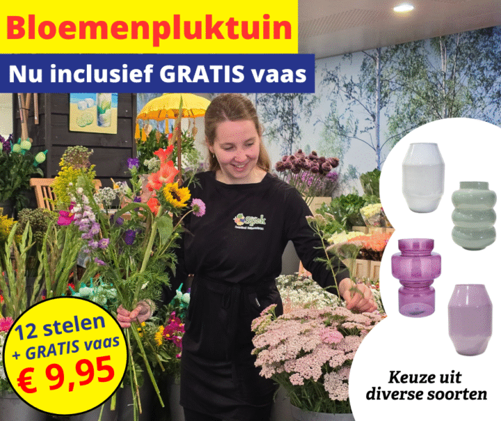 bloemen pluktuin