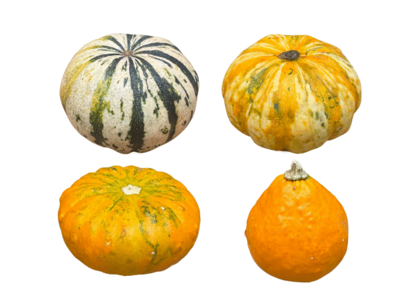 pompoenen