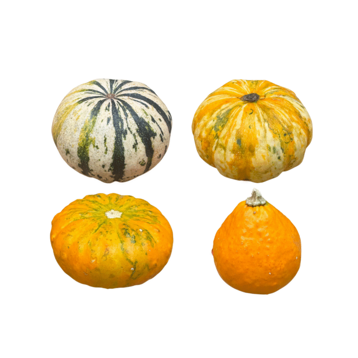 pompoenen