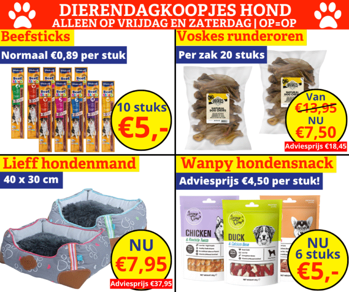 dierendagkoopjes hond