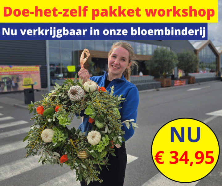 workshop