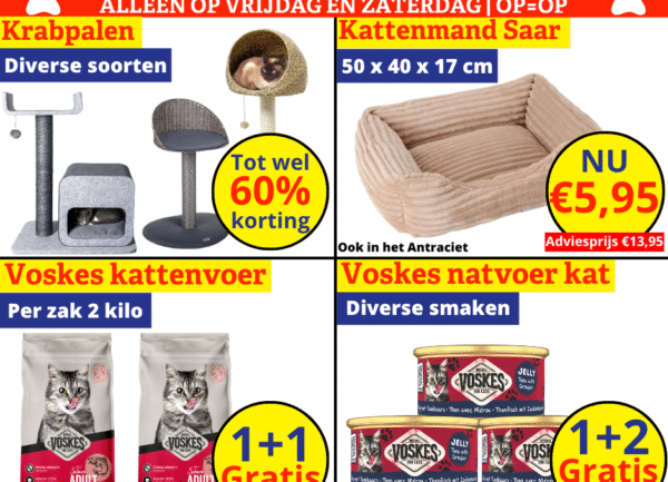 dierendagkoopjes kat