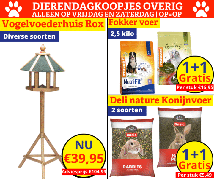 dierendagkoopjes overig