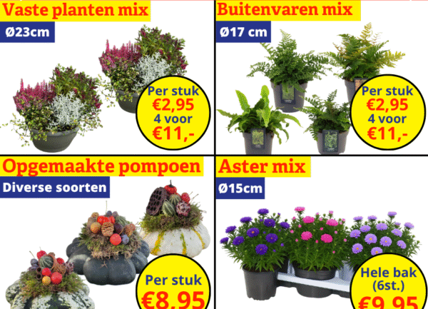 tuinplanten