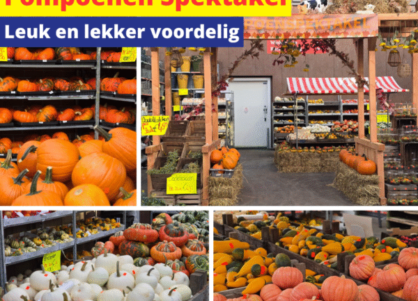 pompoenen spektakel
