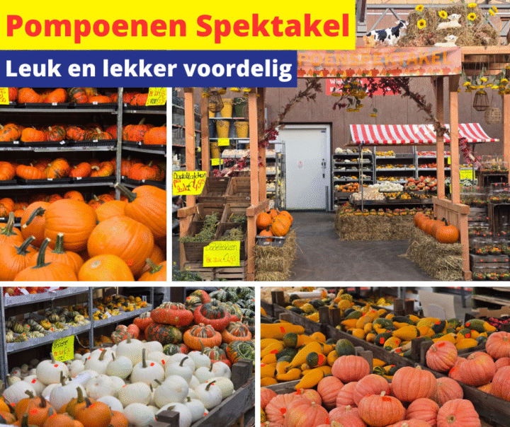 pompoenen spektakel