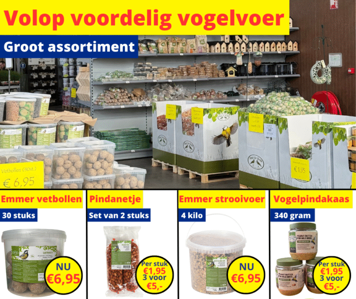 volop voordelig vogelvoer