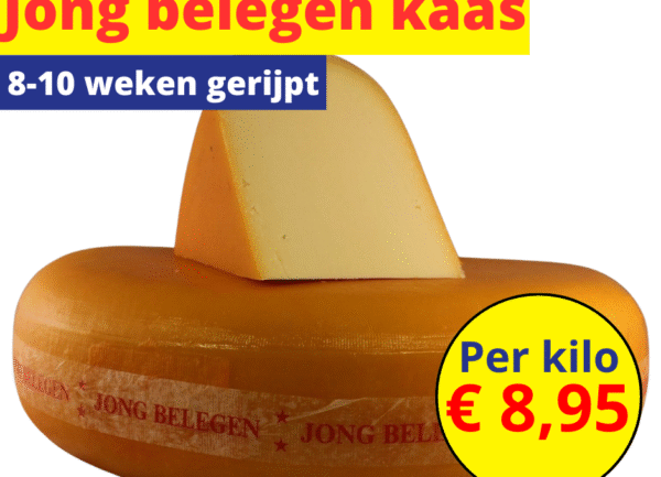 Jong belegen kaas