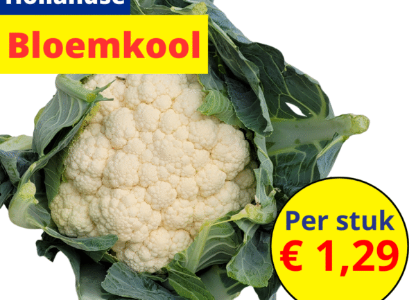 Hollandse bloemkool