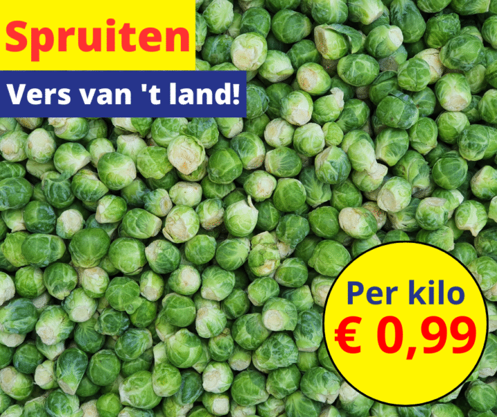 Spruiten