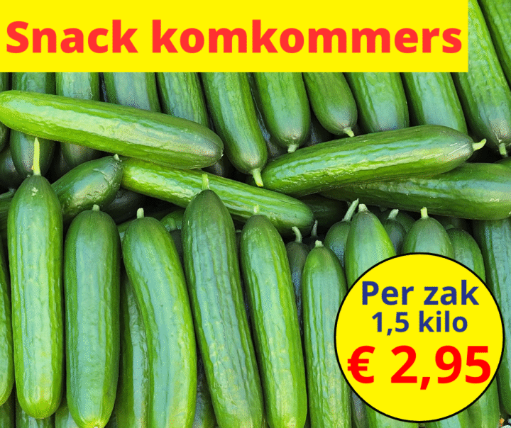 Snack komkommers