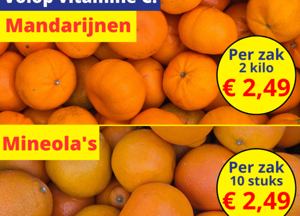 Volop Vitamine C: Mandarijnen & mineola’s
